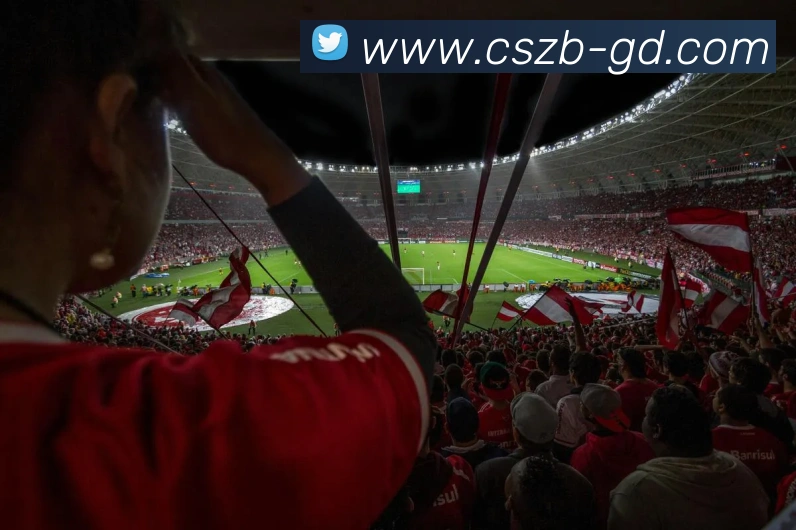 彩神争霸服务体系